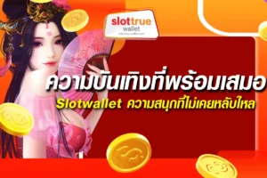 ความบันเทิงที่พร้อมเสมอ-Slotwallet-ความสนุกที่ไม่เคยหลับใหล